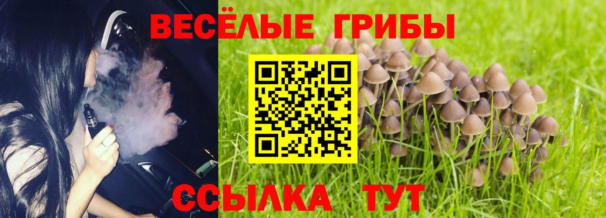 Псилоцибиновые грибы Cubensis  Галлюциногенные грибы GOLDEN TEACHER  Вход с VPN  Грязи 